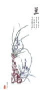 ��